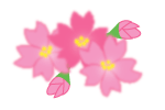 �G�߂̉摜