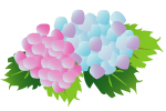 �G�߂̉摜